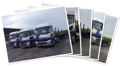 アルバムを表示します