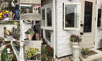 アルバムを表示します