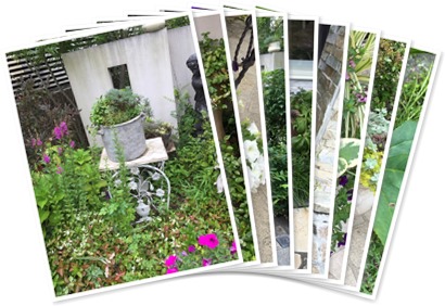 アルバムを表示します