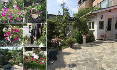 アルバムを表示します