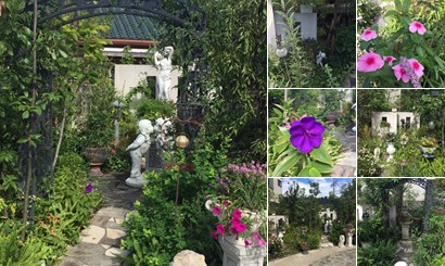 アルバムを表示します