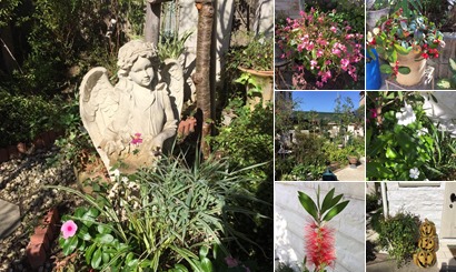 アルバムを表示します