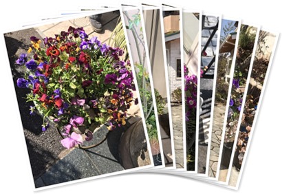 アルバムを表示します