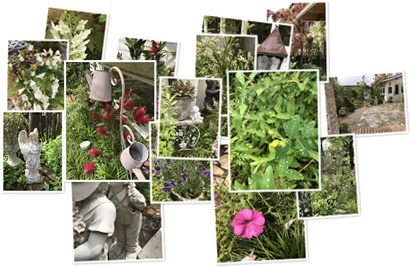 アルバムを表示します