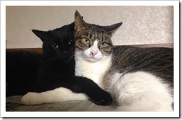 370FF846-3494-4020-BFAA-D3C5CBF2185C