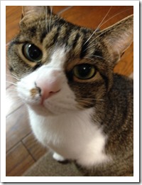 593EBD9E-8862-4E4A-AD67-47B6469BB936