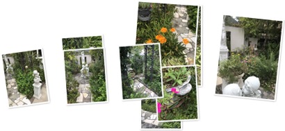 アルバムを表示します