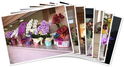 アルバムを表示します