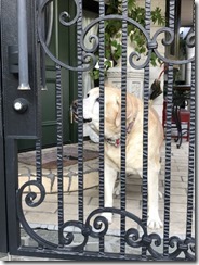 20161219_171026_0154