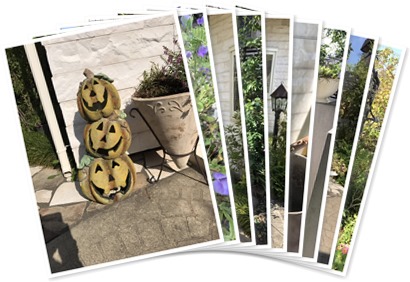 アルバムを表示します